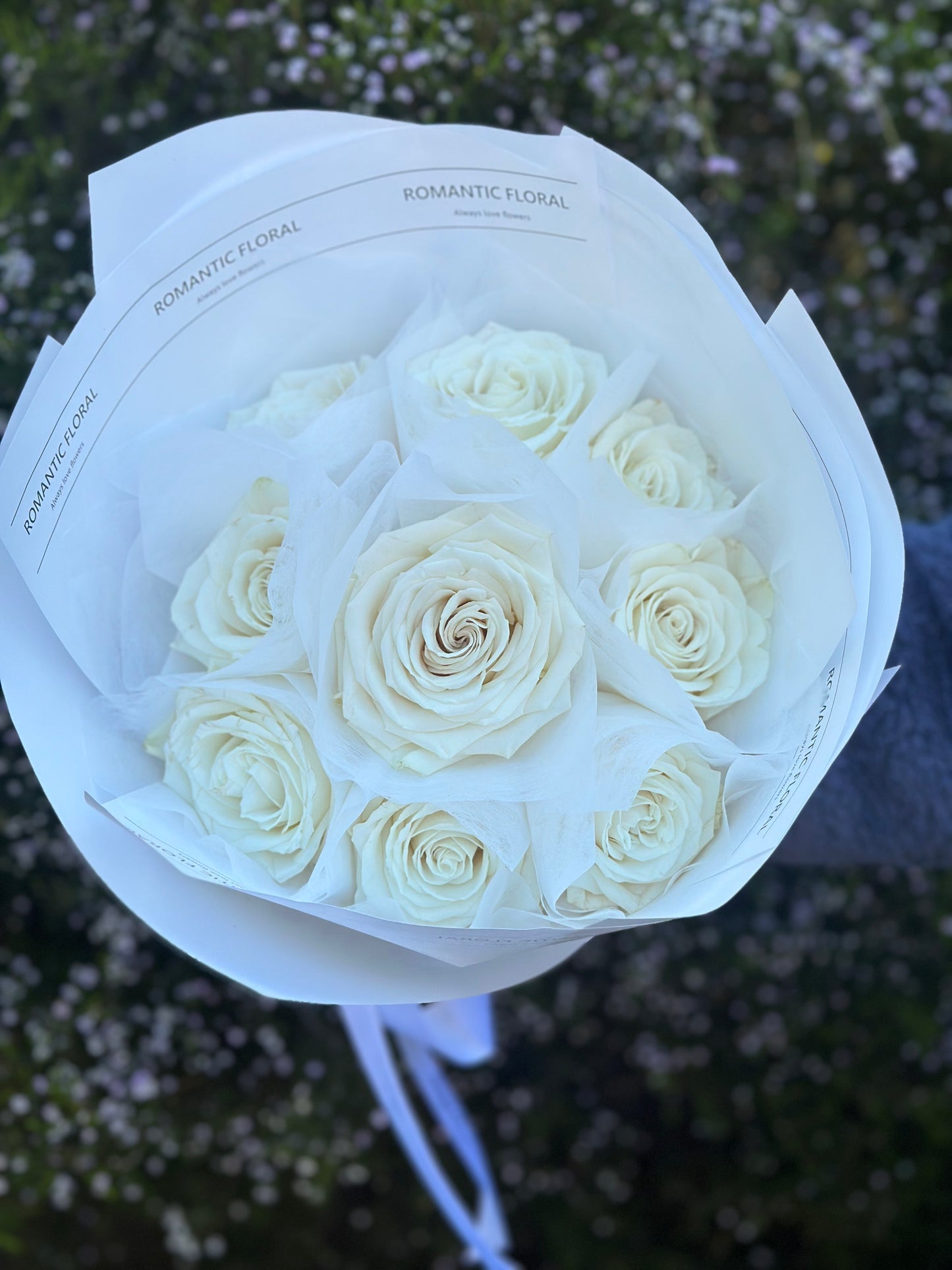 Rose Only - Ecuador Premium Roses
