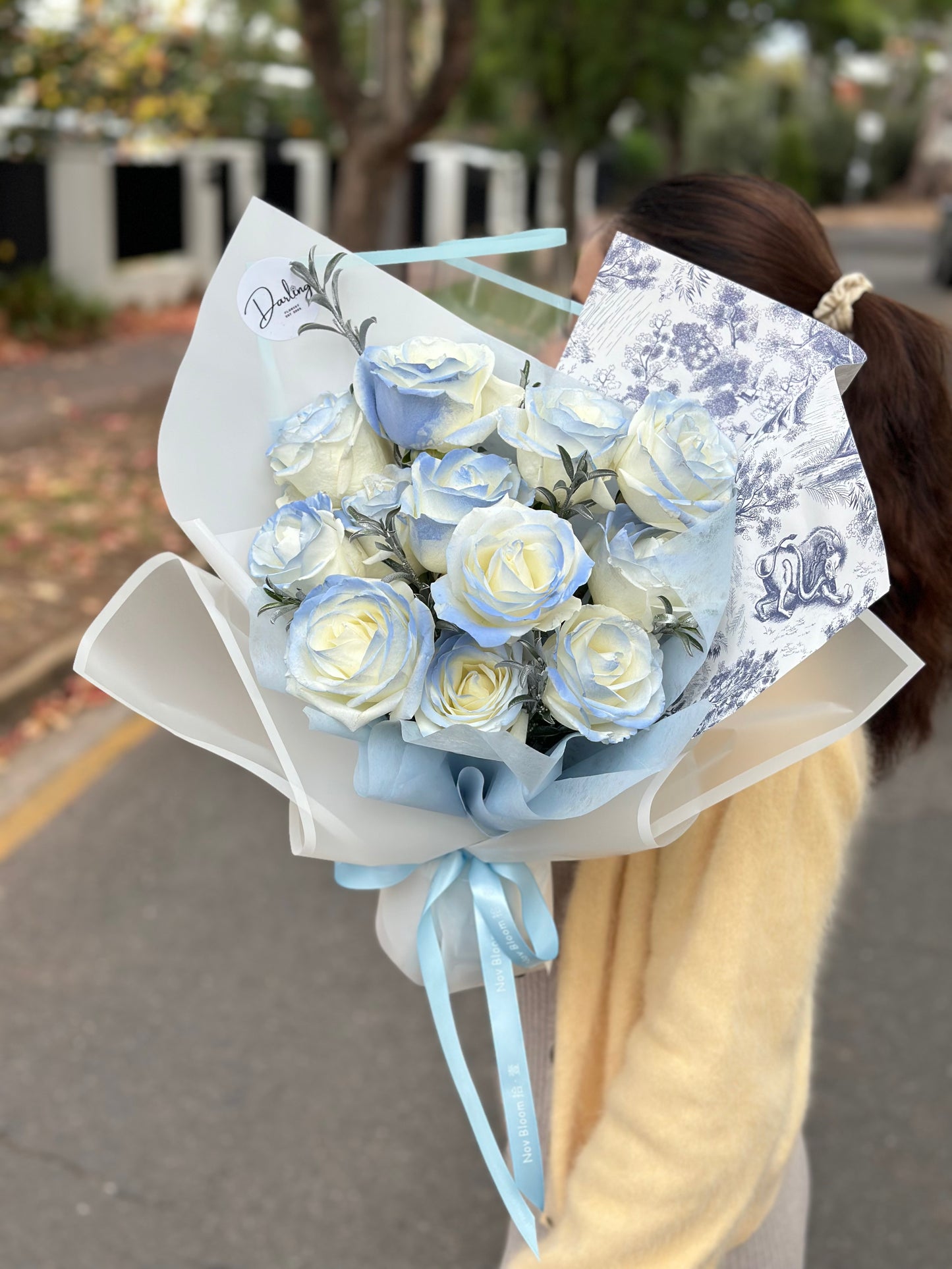 Rose Only - Ecuador Premium Roses
