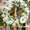 The Large Sympathy Wreath